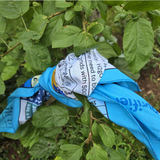 Using the H2gO bandana as a trail marker